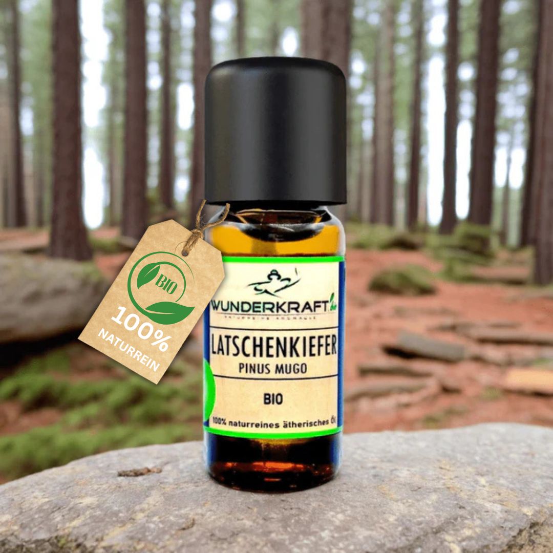 BIO Latschenkiefernöl, 100% naturreine ätherische Öle