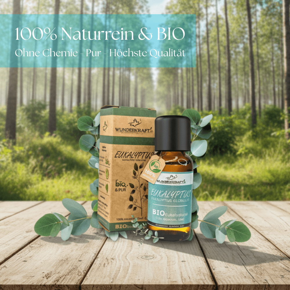 BIO Eukalyptusöl globulus, 100% naturreine ätherische Öle - Wunderkraft.bio von Wunderlampe.bio