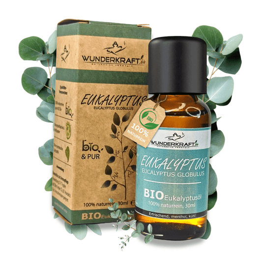 BIO Eukalyptusöl globulus, 100% naturreine ätherische Öle - Wunderkraft.bio von Wunderlampe.bio
