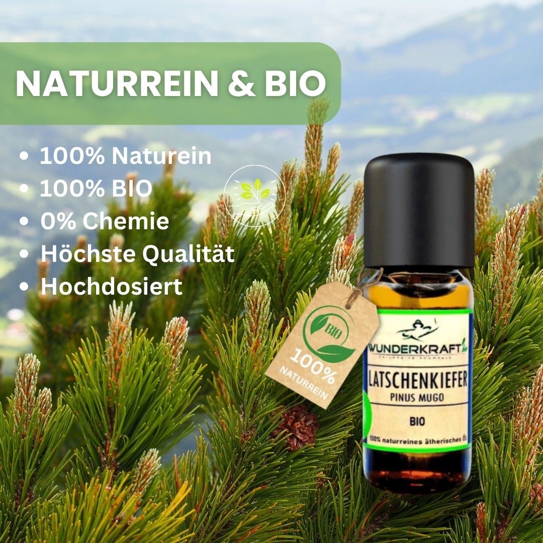 Riesen Duftstein & Holzteller inkl. BIO Latschenkiefernöl, 100% ätherisches Öl, 10ml - Wunderkraft.bio von Wunderlampe.bio