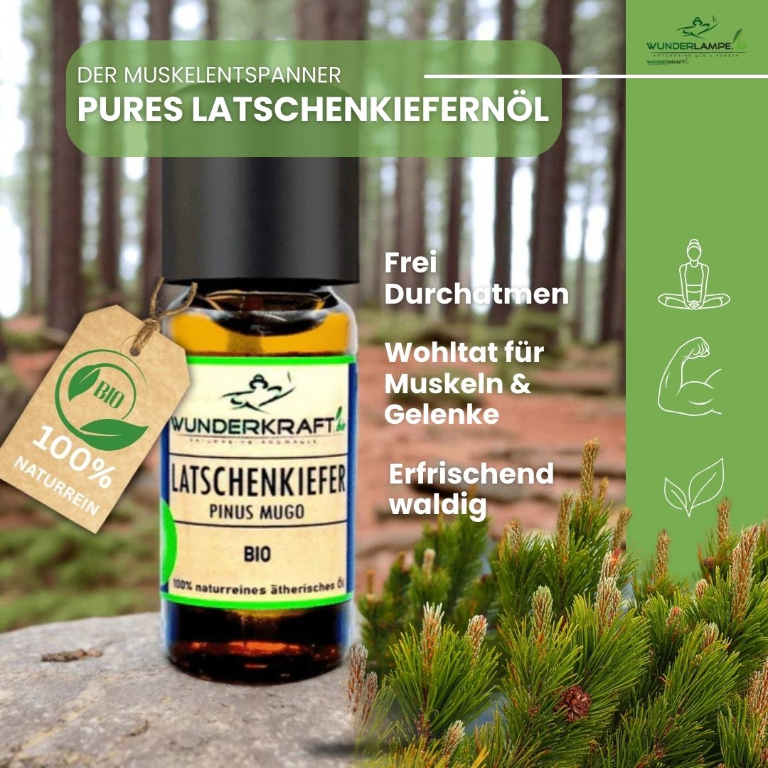 Riesen Duftstein & Holzteller inkl. BIO Latschenkiefernöl, 100% ätherisches Öl, 10ml - Wunderkraft.bio von Wunderlampe.bio