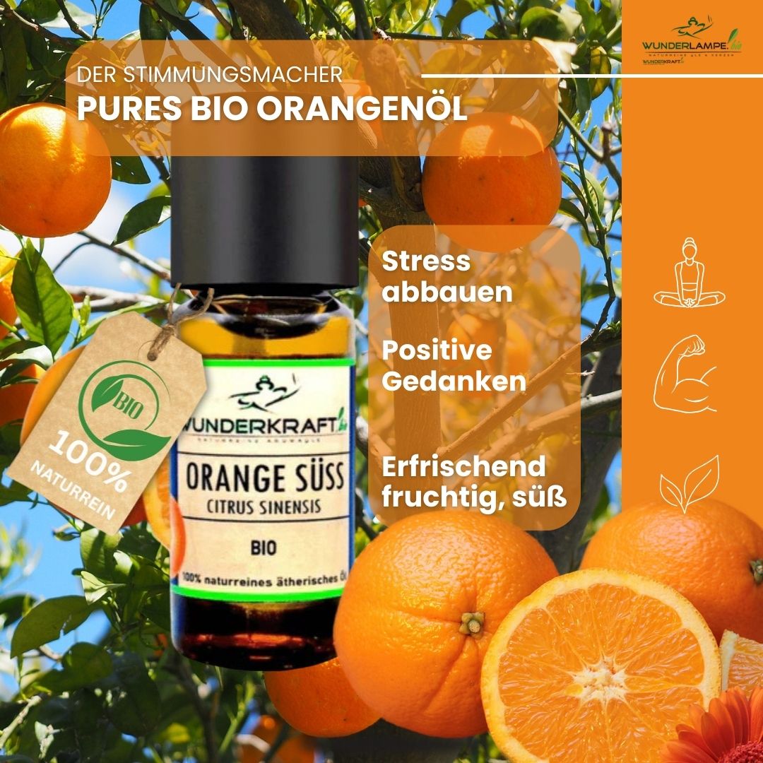 Riesen Duftstein & Holzteller inkl. BIO Orangenöl, 100% ätherisches Öl, 10ml - Wunderkraft.bio von Wunderlampe.bio