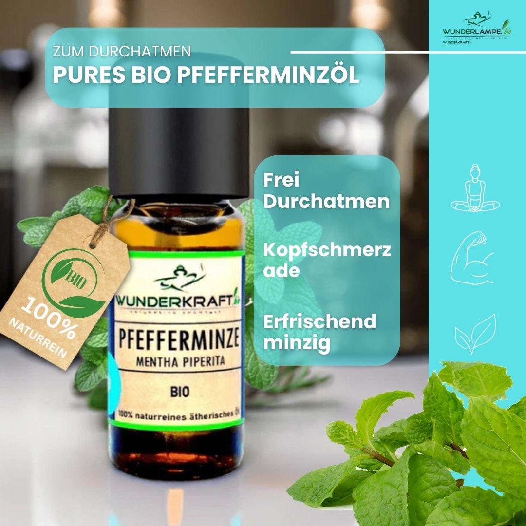 Riesen Duftstein & Holzteller inkl. BIO Pfefferminzöl, 100% ätherisches Öl, 10ml - Wunderkraft.bio von Wunderlampe.bio
