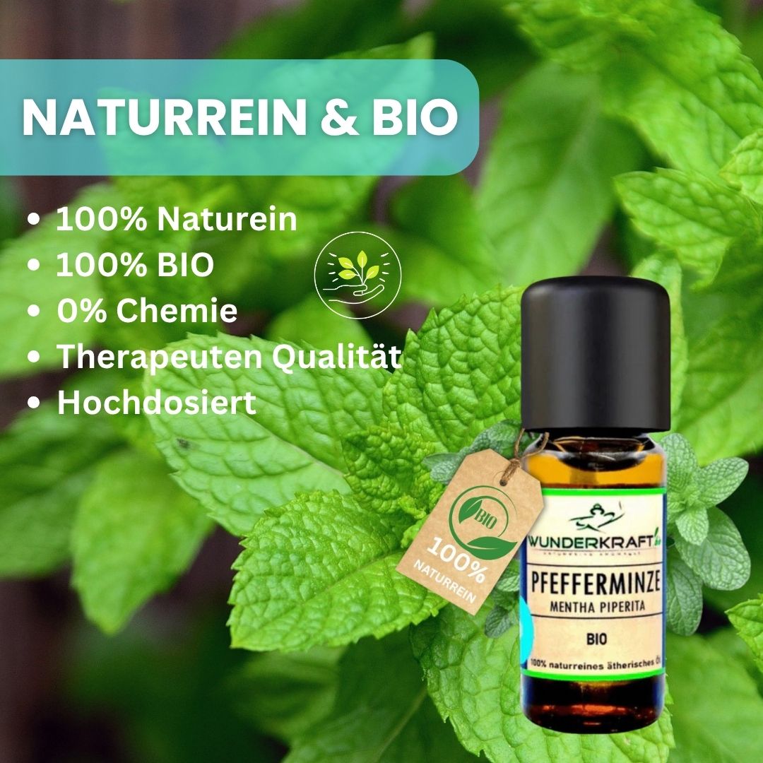 Riesen Duftstein & Holzteller inkl. BIO Pfefferminzöl, 100% ätherisches Öl, 10ml - Wunderkraft.bio von Wunderlampe.bio