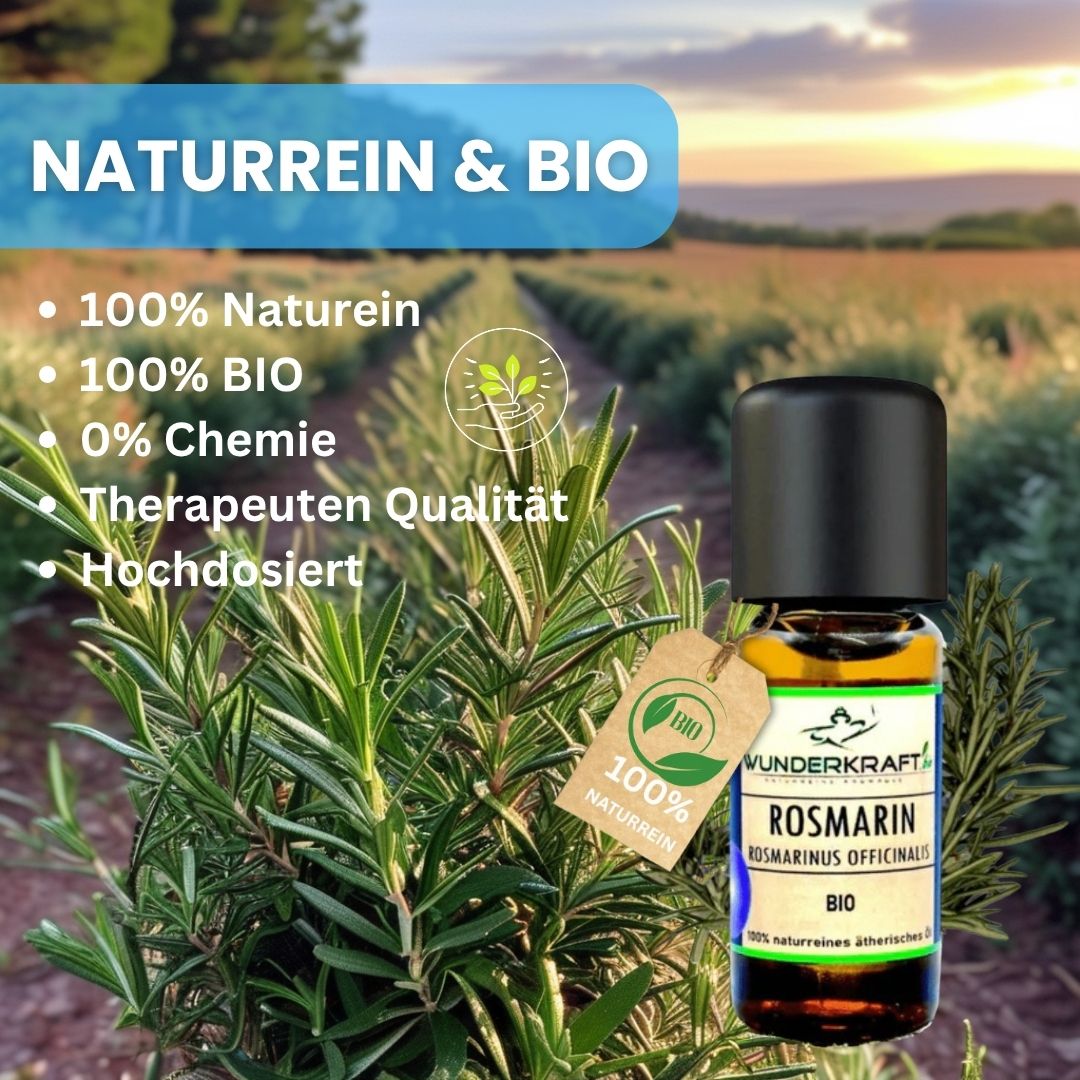 Riesen Duftstein & Holzteller inkl. BIO Rosmarinöl, 100% ätherisches Öl, 10ml - Wunderkraft.bio von Wunderlampe.bio