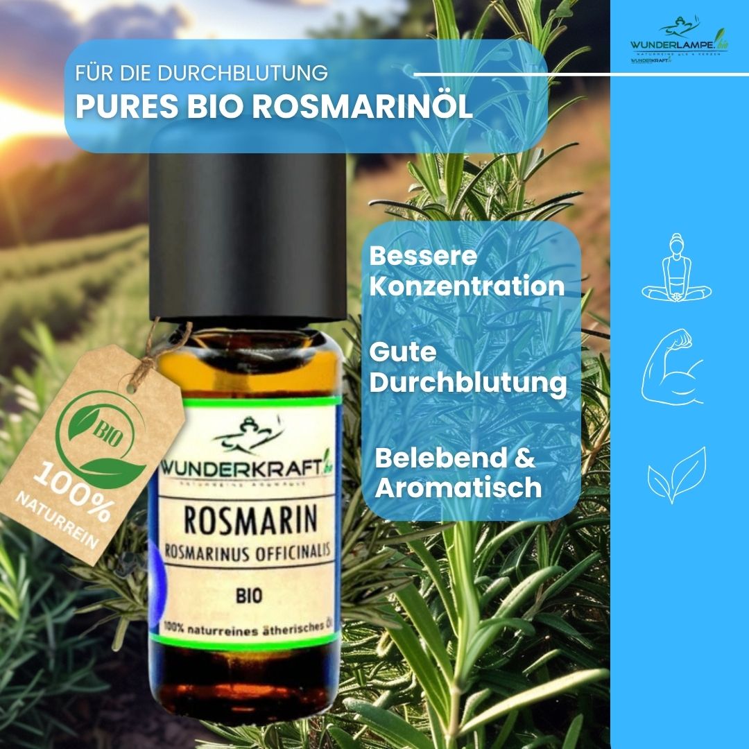 Riesen Duftstein & Holzteller inkl. BIO Rosmarinöl, 100% ätherisches Öl, 10ml - Wunderkraft.bio von Wunderlampe.bio