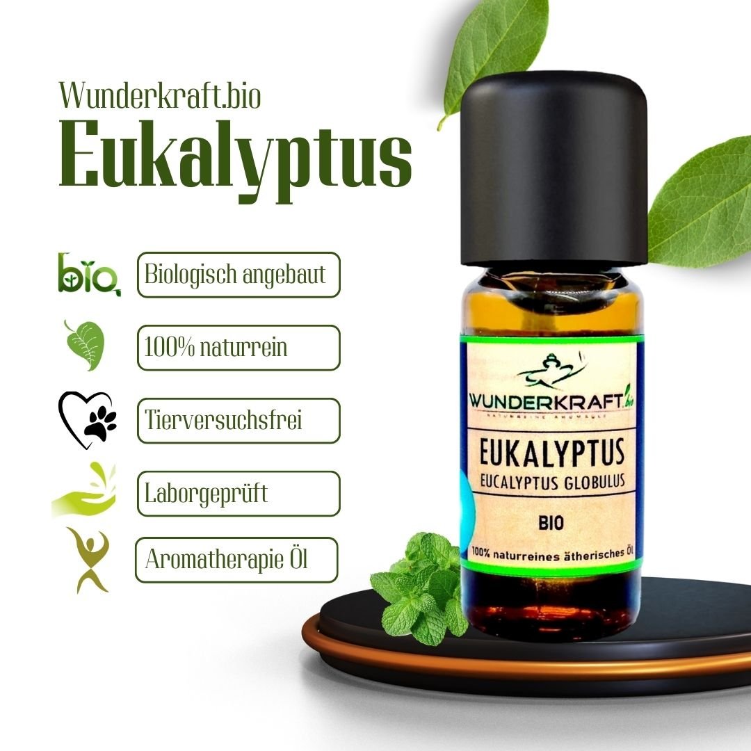 Riesen Duftstein mit Holzteller inkl. BIO Eukalyptusöl globulus, 100% naturreine ätherische Öle - Wunderkraft.bio