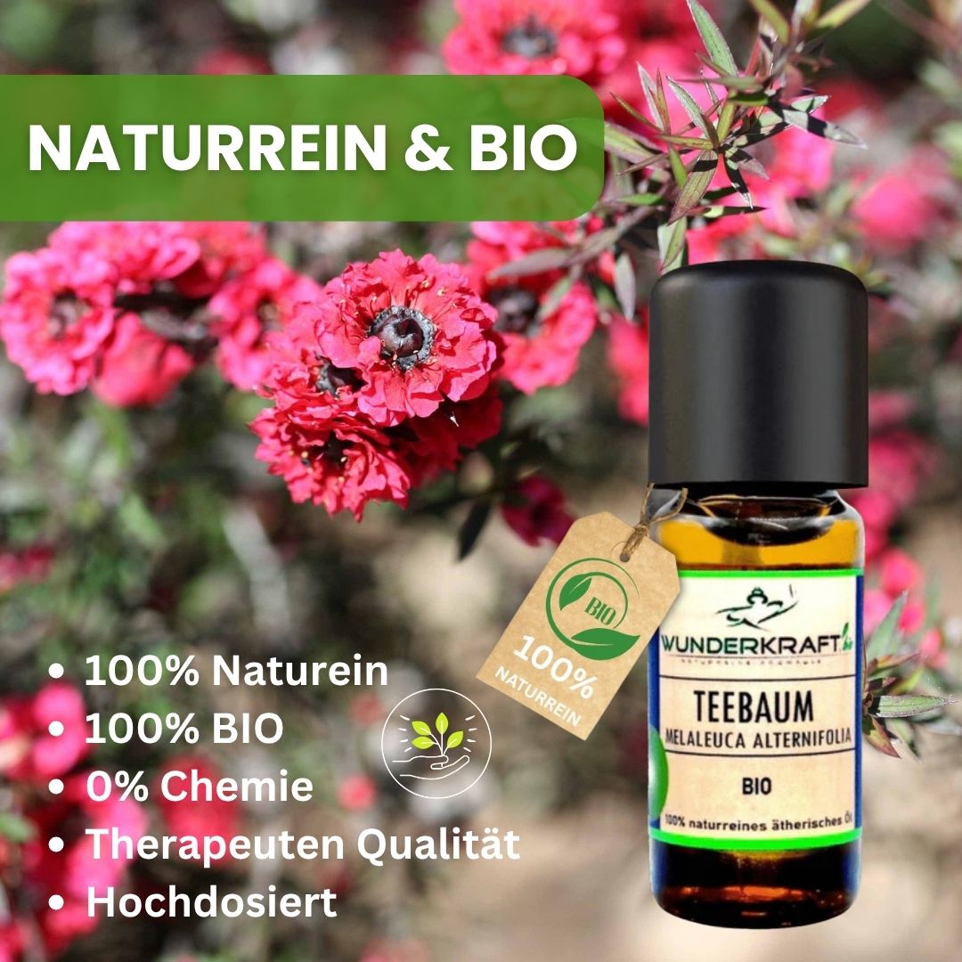 Riesen Duftstein mit Holzteller inkl. BIO Teebaumöl, 100% naturreine ätherische Öle - Wunderkraft.bio von Wunderlampe.bio
