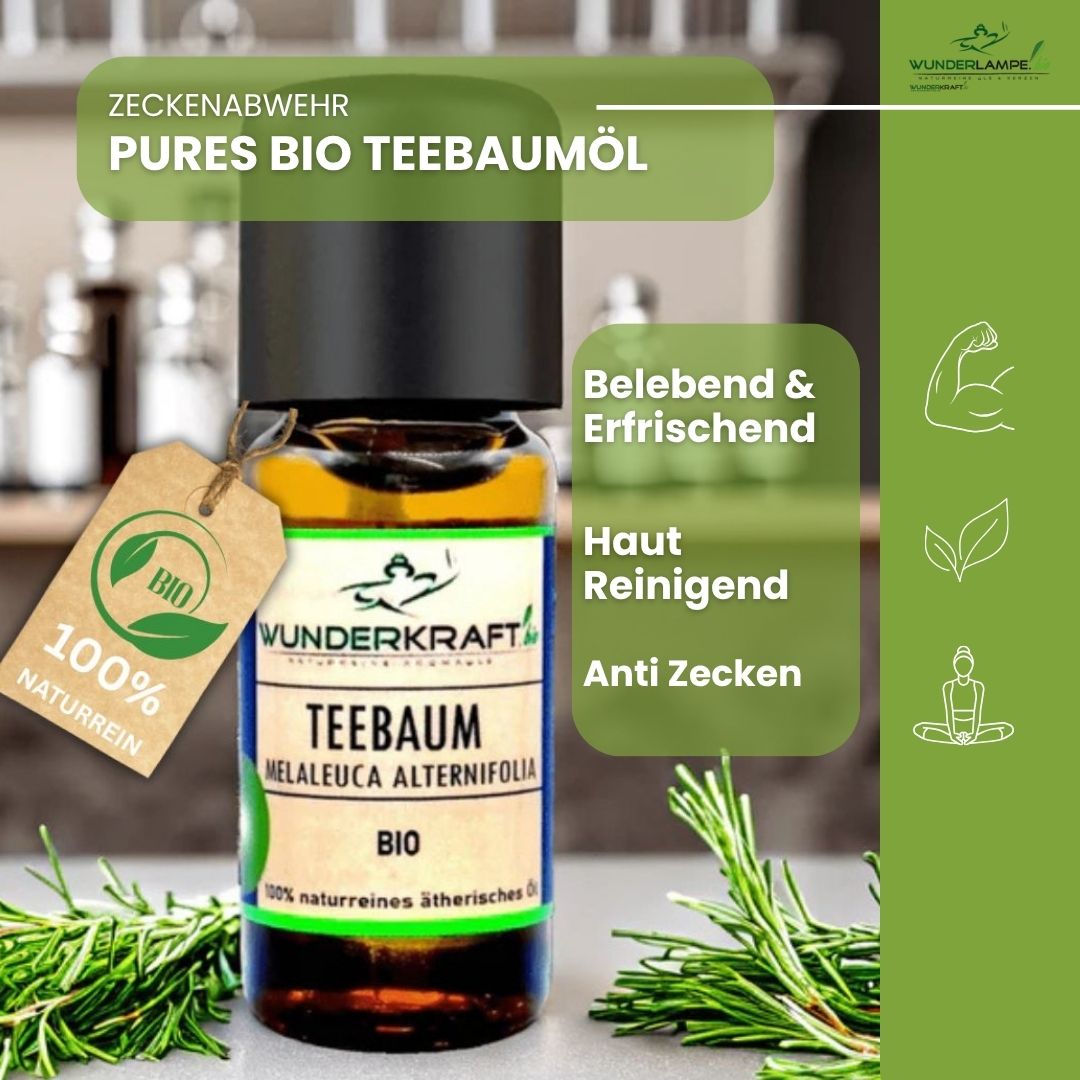 Riesen Duftstein mit Holzteller inkl. BIO Teebaumöl, 100% naturreine ätherische Öle - Wunderkraft.bio von Wunderlampe.bio