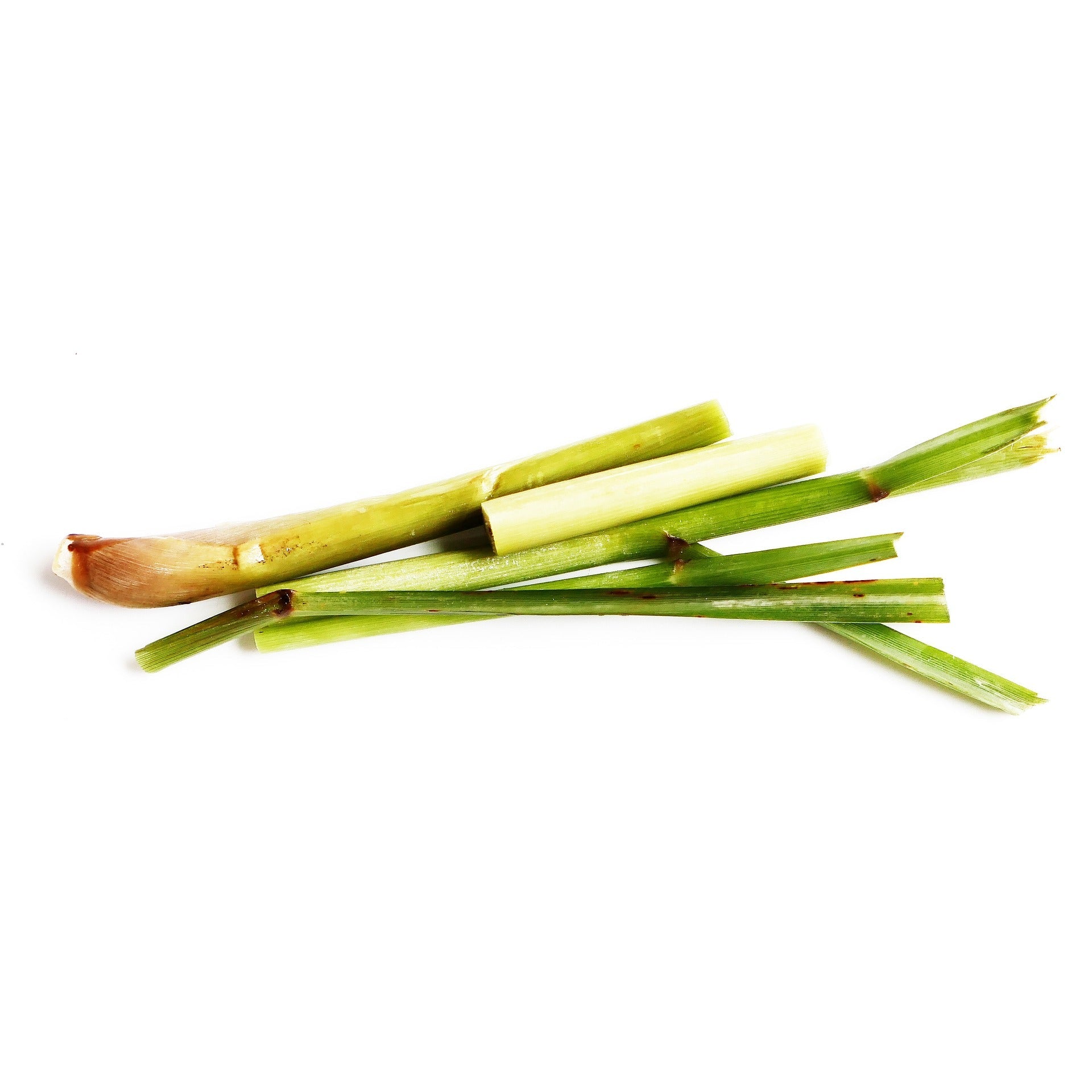 Lemongrass, der natürliche Schutz gegen Mücken - Wunderkraft naturals