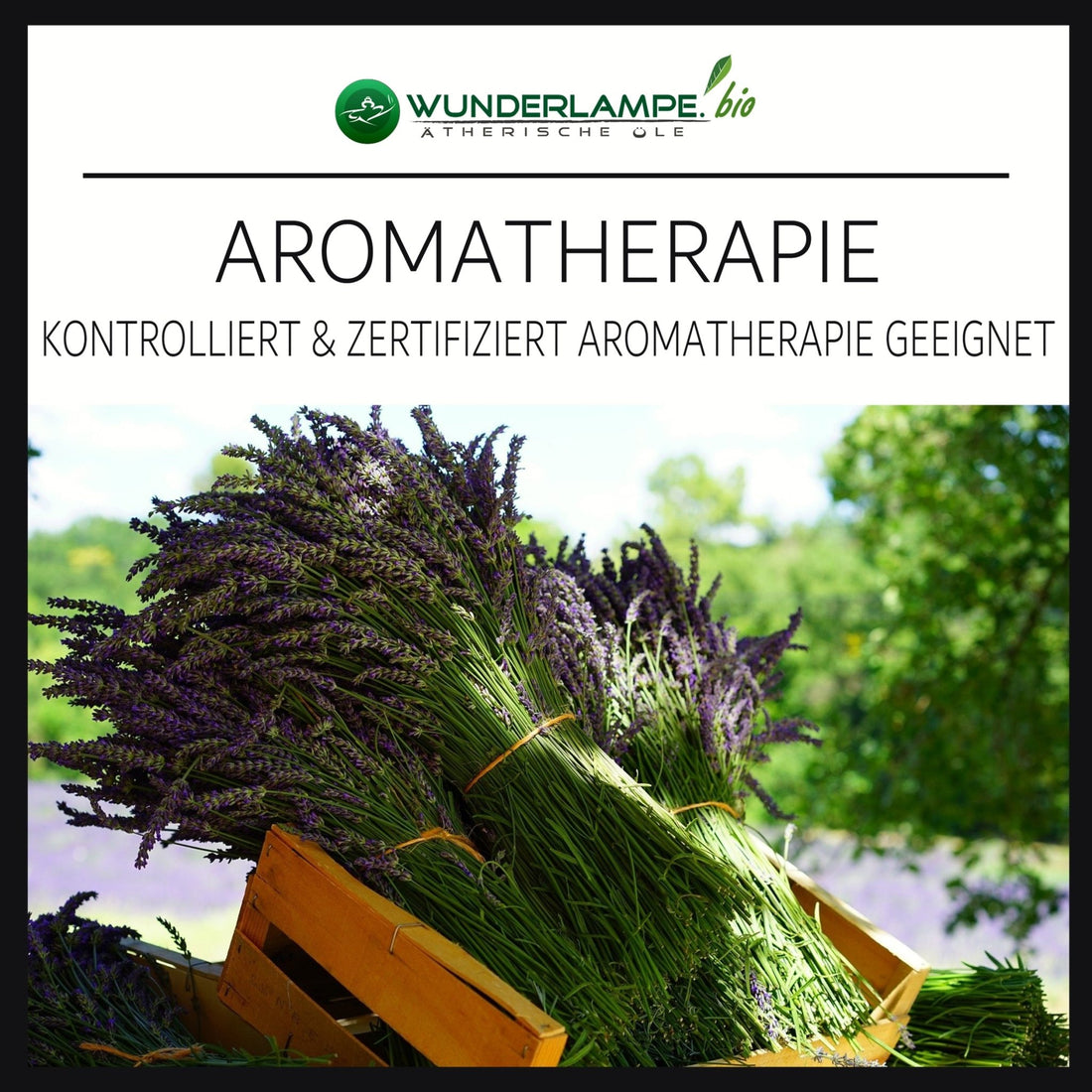 Unsere ätherischen Öle in der Aromatherapie - Wunderkraft.bio