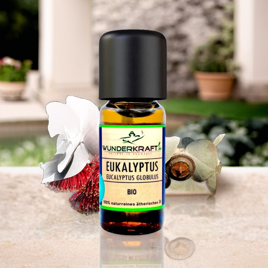 BIO Eukalyptusöl globulus, 100% naturreine ätherische Öle