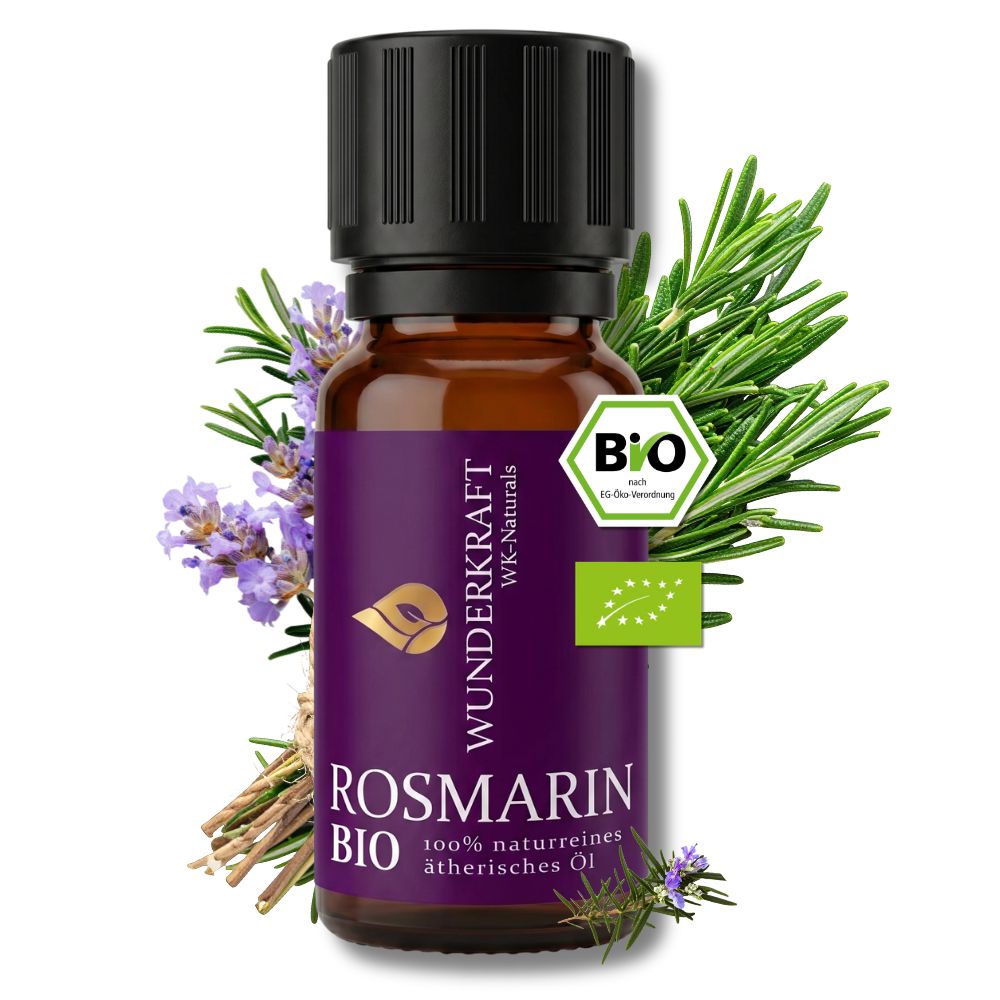 Klarer Kopf "ROSMARINÖL BIO" ⚡Energie & Fokus  - 🌿 Haare & Durchblutung