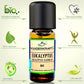 BIO Eukalyptusöl globulus, 100% naturreines ätherisches Aromaöl