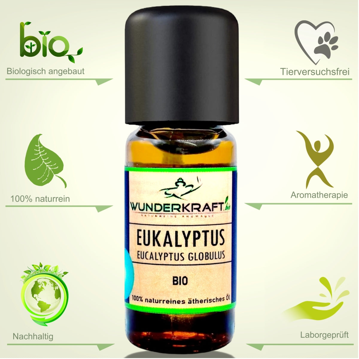 BIO Eukalyptusöl globulus, 100% naturreines ätherisches Aromaöl