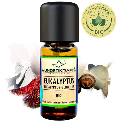 BIO Eukalyptusöl globulus, 100% naturreine ätherische Öle - Wunderkraft.bio