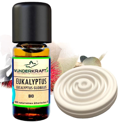 BIO Eukalyptusöl globulus, 100% naturreine ätherische Öle - Wunderkraft.bio