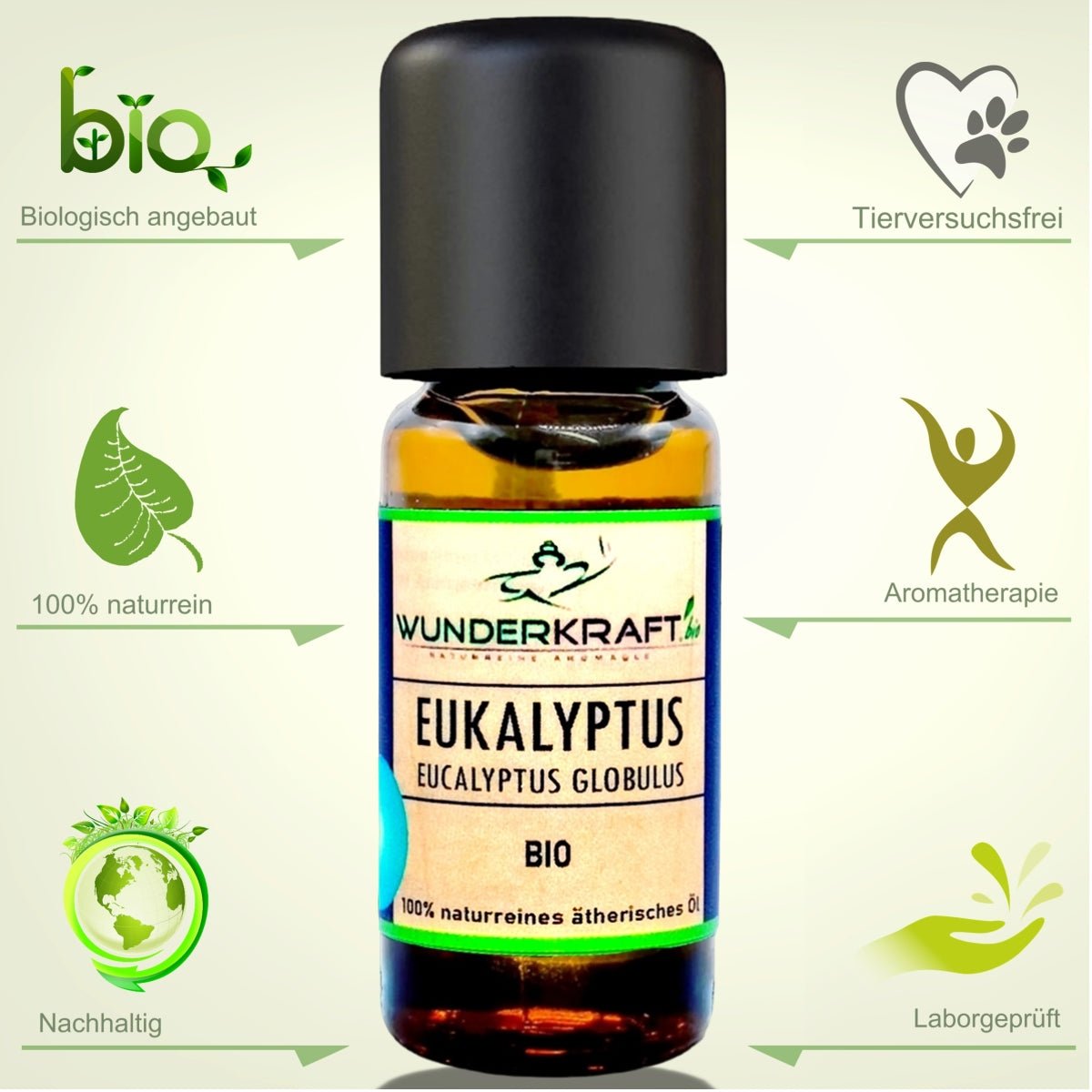 BIO Eukalyptusöl globulus, 100% naturreine ätherische Öle - Wunderkraft.bio