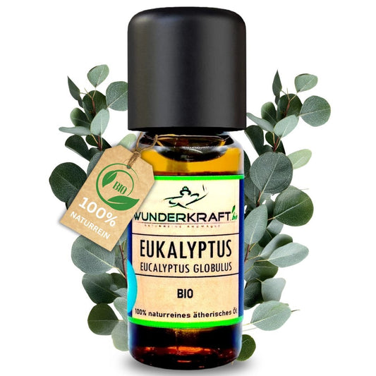 BIO Eukalyptusöl globulus, 100% naturreine ätherische Öle - Wunderkraft.bio von Wunderlampe.bio