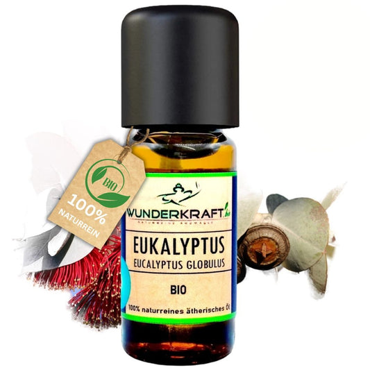 BIO Eukalyptusöl globulus, 100% naturreine ätherische Öle - Wunderkraft.bio von Wunderlampe.bio