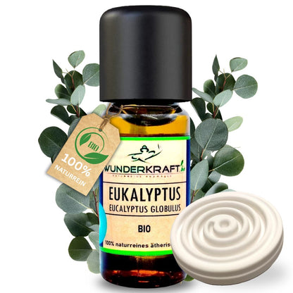 BIO Eukalyptusöl globulus, 100% naturreine ätherische Öle - Wunderkraft.bio von Wunderlampe.bio