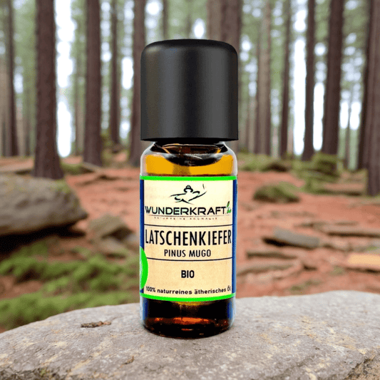 BIO Latschenkiefernöl, 100% naturreine ätherische Öle - Wunderkraft.bio