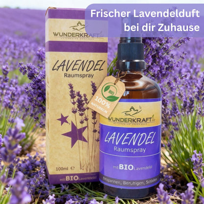 Bio Lavendelspray, 100ml Raumspray und Kissenspray für süße Träume - Wunderkraft.bio von Wunderlampe.bio