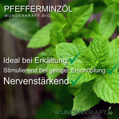 BIO Pfefferminzöl, 100% naturreine ätherische Öle - Wunderkraft.bio