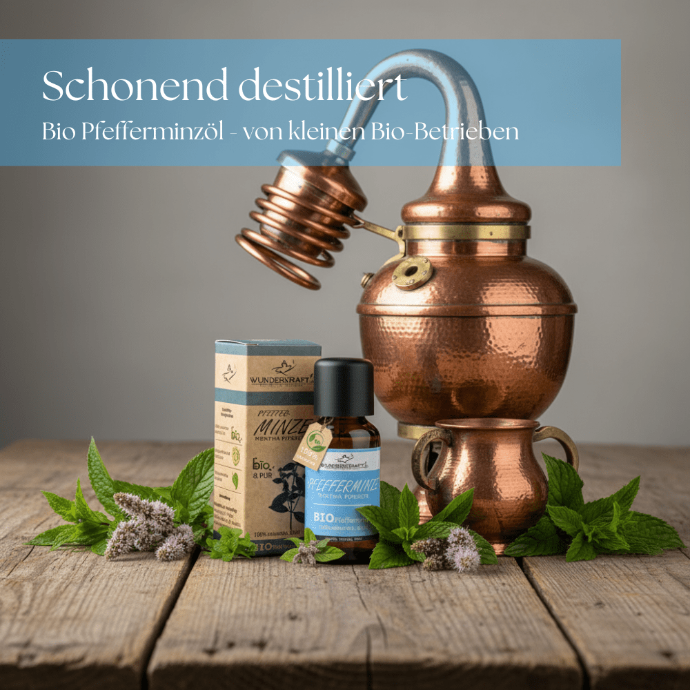 BIO Pfefferminzöl, 100% naturreine ätherische Öle - Wunderkraft.bio von Wunderlampe.bio