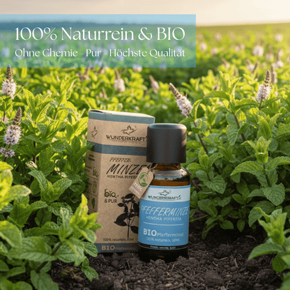 BIO Pfefferminzöl, 100% naturreine ätherische Öle - Wunderkraft.bio von Wunderlampe.bio