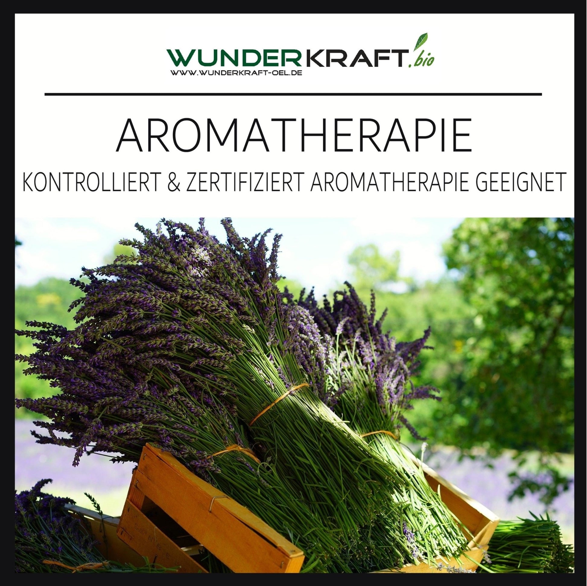 BIO Rosmarinöl, 100% naturreines ätherisches Öl, Aromaöl, Duftöl - Wunderkraft.bio