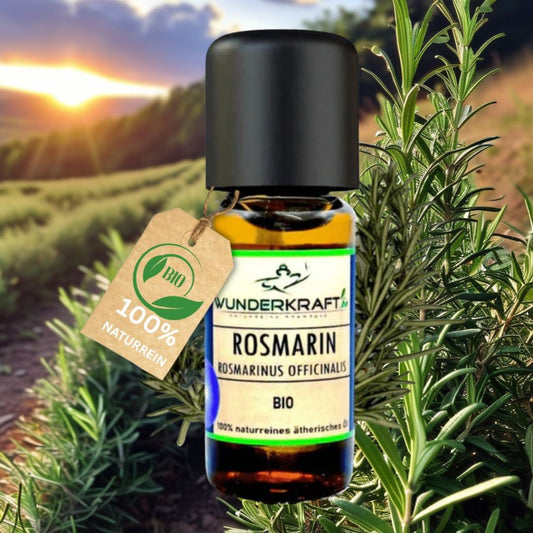 BIO Rosmarinöl, 100% naturreines ätherisches Öl - Wunderkraft.bio von Wunderlampe.bio