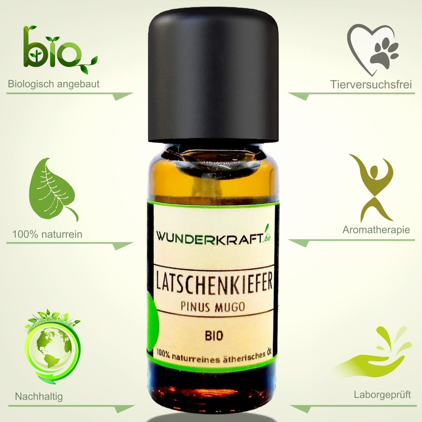 Duftstein & Holzteller inkl. BIO Latschenkiefernöl, 100% ätherisches Öl, 10ml - Wunderkraft.bio