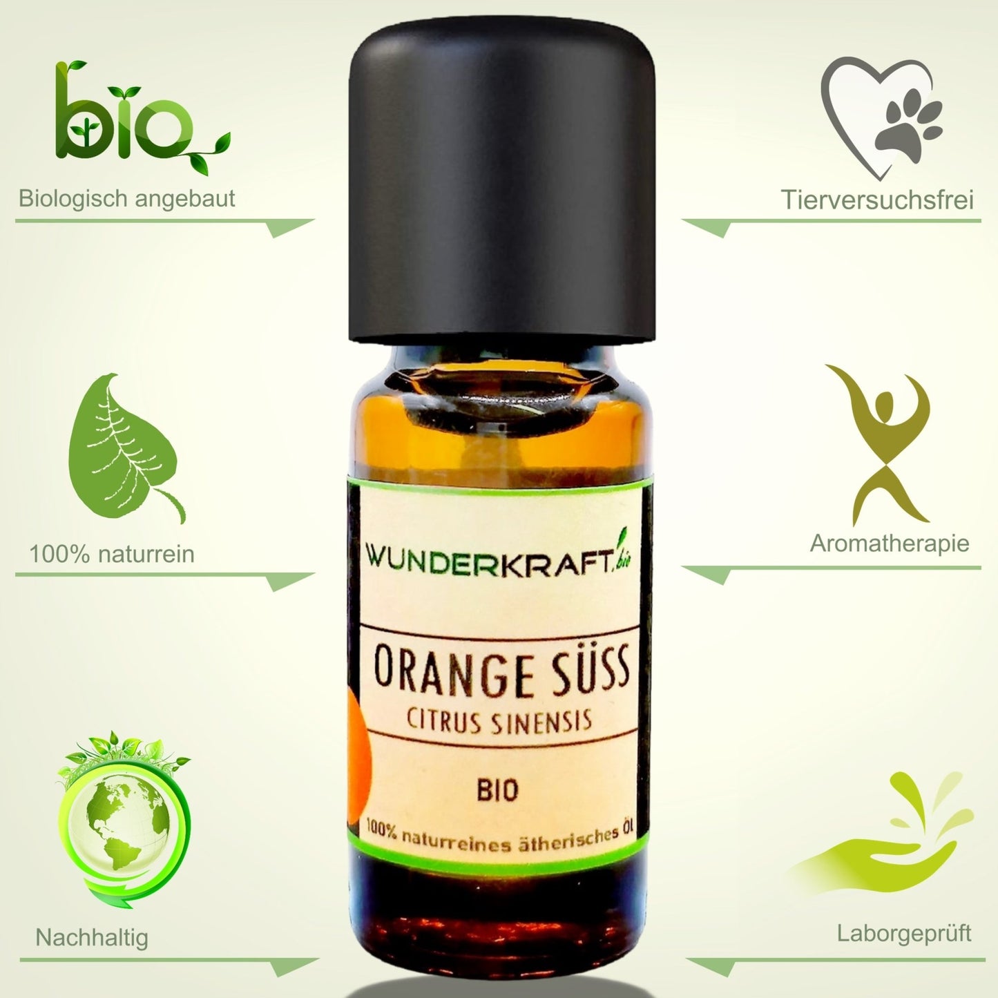 Duftstein & Holzteller inkl. BIO Orangenöl, 100% ätherisches Öl, 10ml - Wunderkraft.bio