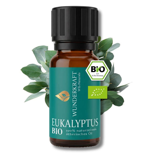EUKALYPTUSÖL BIO - Wunderkraft naturals