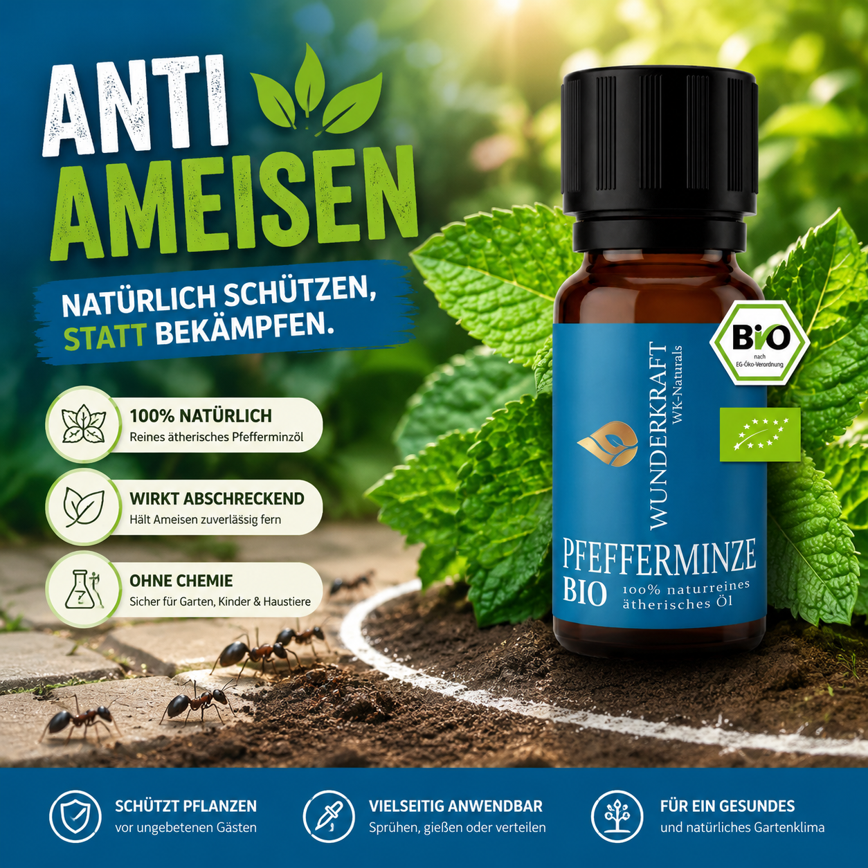 Fokus Frische "PFEFFERMINZÖL BIO"⚡Energie & Fokus - 🌬️ Atemwege & Erkältung - Wunderkraft naturals