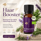 Klarer Kopf "ROSMARINÖL BIO" ⚡Energie & Fokus - 🌿 Haare & Durchblutung - Wunderkraft naturals