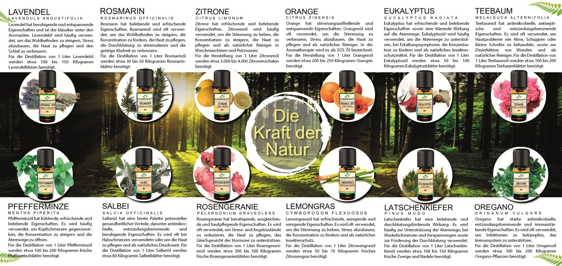 Naturreine ätherische Bio Öle 10 ml - Wunderkraft.bio von Wunderlampe.bio