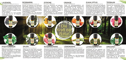 Naturreine ätherische Bio Öle 10 ml - Wunderkraft.bio von Wunderlampe.bio