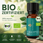 Reine Energie "EUKALYPTUSÖL BIO" 🌬️ Atemwege & Erkältung - 🧼 Reinigung & Hygiene - Wunderkraft naturals