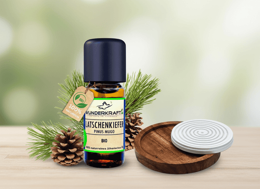 Riesen Duftstein & Holzteller inkl. BIO Latschenkiefernöl, 100% ätherisches Öl, 10ml - Wunderkraft.bio von Wunderlampe.bio