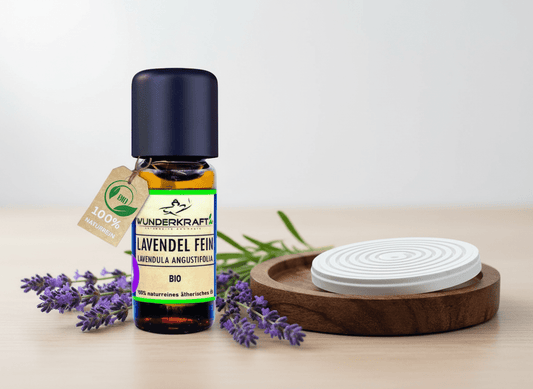 Riesen Duftstein & Holzteller inkl. BIO Lavendelöl fein, 100% ätherisches Öl, 10ml - Wunderkraft.bio von Wunderlampe.bio