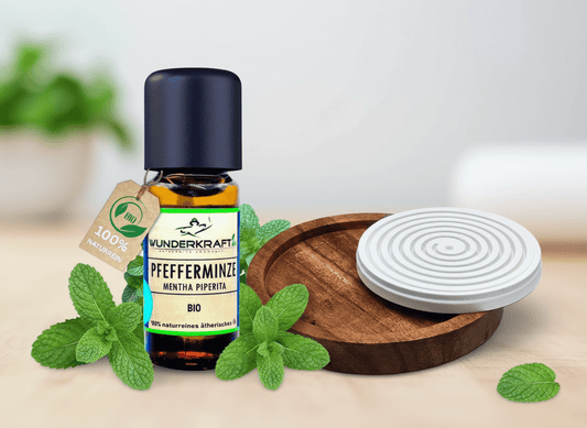 Riesen Duftstein & Holzteller inkl. BIO Pfefferminzöl, 100% ätherisches Öl, 10ml - Wunderkraft.bio von Wunderlampe.bio