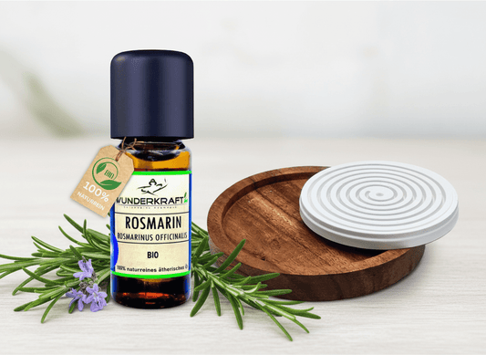 Riesen Duftstein & Holzteller inkl. BIO Rosmarinöl, 100% ätherisches Öl, 10ml - Wunderkraft.bio von Wunderlampe.bio
