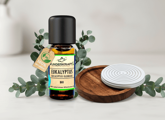 Riesen Duftstein mit Holzteller inkl. BIO Eukalyptusöl globulus, 100% naturreine ätherische Öle - Wunderkraft.bio von Wunderlampe.bio