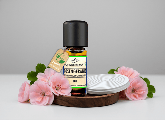 Riesen Duftstein mit Holzteller inkl. BIO Rosengeranienöl, 100% naturreines ätherisches Öl - Wunderkraft.bio von Wunderlampe.bio