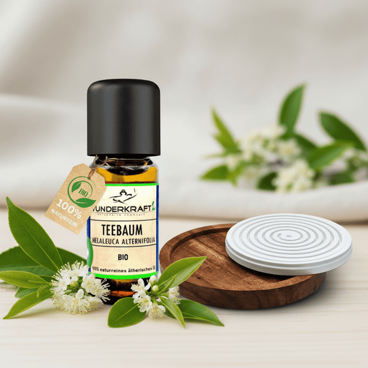 Riesen Duftstein mit Holzteller inkl. BIO Teebaumöl, 100% naturreine ätherische Öle - Wunderkraft.bio von Wunderlampe.bio