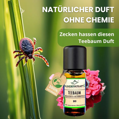 Riesen Duftstein mit Holzteller inkl. BIO Teebaumöl, 100% naturreine ätherische Öle - Wunderkraft.bio von Wunderlampe.bio